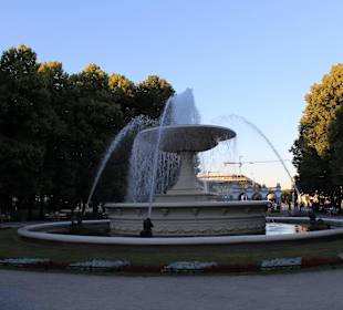 Ogród w parku saskim