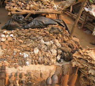 Fetischmarkt in Lome