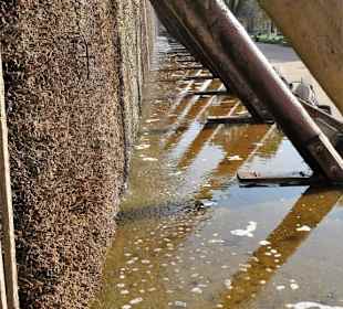 Impressionen vom Alten Gradierwerk
