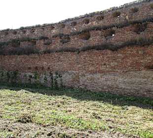 Burg Slimnic/Stolzenburg