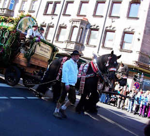 Brauerei Wolfshöher Neunkirchen a.S. Vierer-Gespan