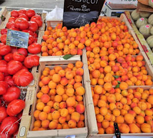 Eindrücke vom Rundgang über den Markt von Elne