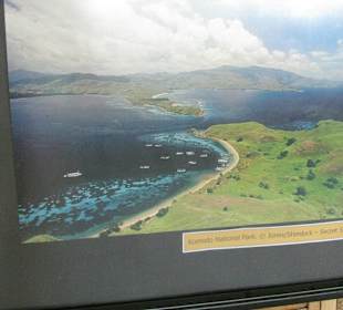 В зоопарке Бали