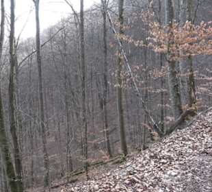 Wasserfallsteig
