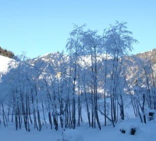 Pferdeschlittenfahrt zum Talende