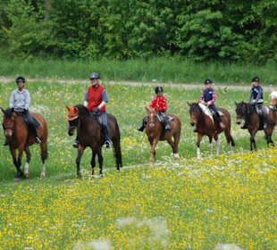 Reitausflug am Schönbuch
