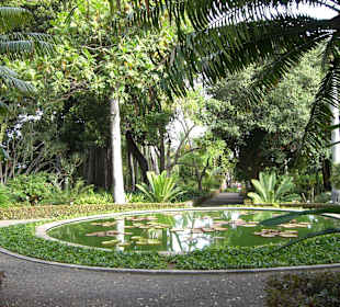 Jardín Botanico
