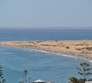 Auf dem Weg zu Strand
