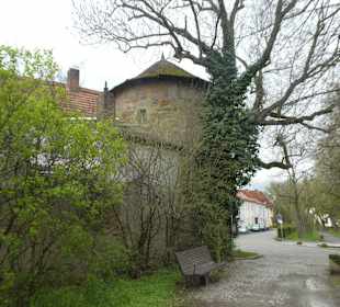 Spaziergang entlang der Gerolzhöfer Allee