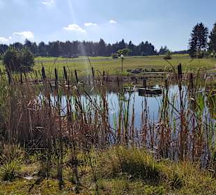Wandern Bad Traunstein
