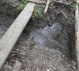 Barfußpfad Firstwald