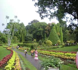 Botanischer Garten