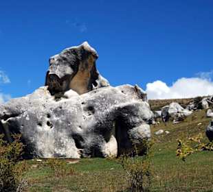 Просторы Новой Зеландии.