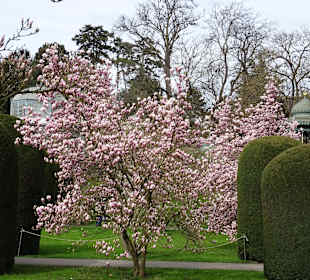Wilhelma Stuttgart