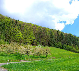 Entlang der romantischen Burgenstraße Fränkischen Schweiz