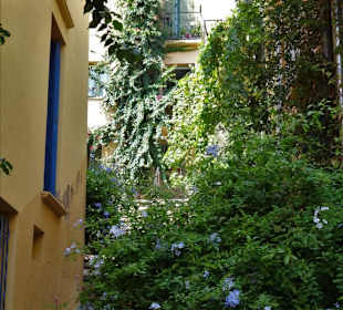 Impressionen aus der Altstadt von Collioure