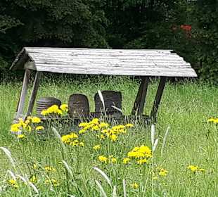 Wallenborn