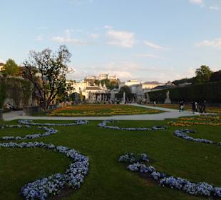 Im Mirabellgarten