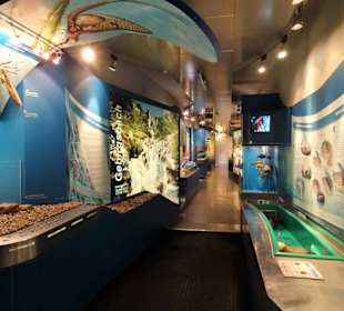 Abteilung "Lebensader Salzach" im Haus der Natur