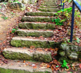 Versturzhöhle-Riesenburg