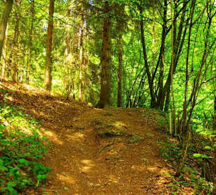 Wanderung zum Bärenfels