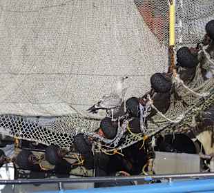 Fischerboot im Hafen 