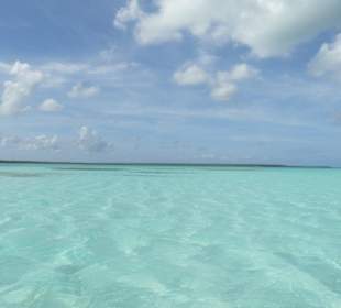 Saona