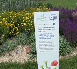 Blühendes Neresheim 2021