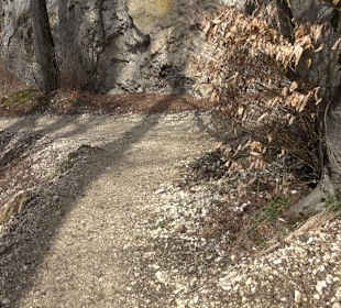 Fürstlicher Park Inzigkofen