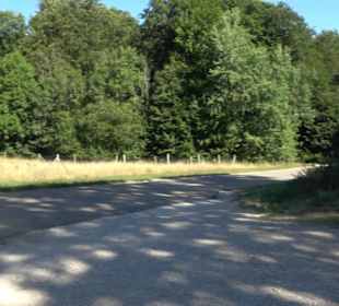 Wanderparkplatz Ruinen über dem Echaztal