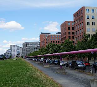 14. Eine Wiese mitten in der Hochhauslandschaft
