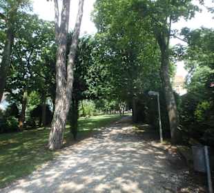 Teilansicht des Parks