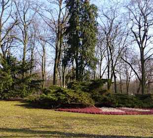 Jungbornpark