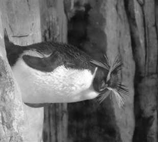 Rundgang im Tierpark