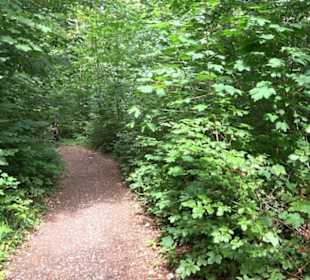 Hochgeträumt Premiumwanderung