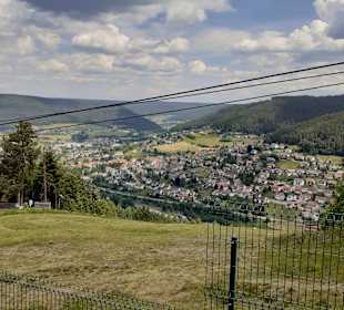 Wandern Bannwald Baiersbronn