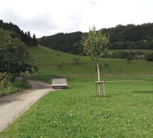 Schlössle von Effringen