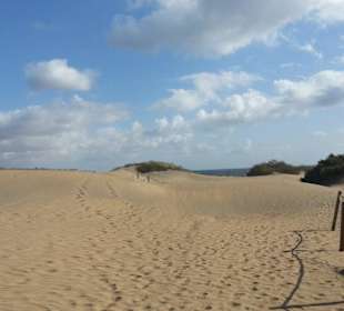 Dünen von Maspalomas