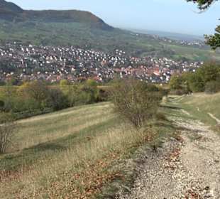 Premiumwanderweg hochgehkeltert Neuffen