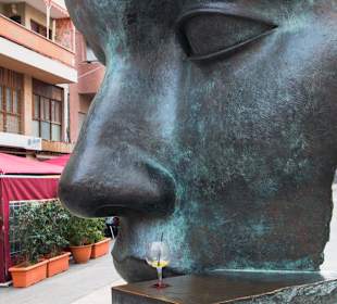 Красивое лицо 