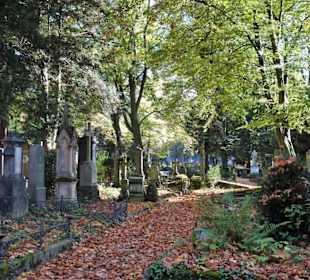 Rundgang über den Alten Friedhof in Bonn