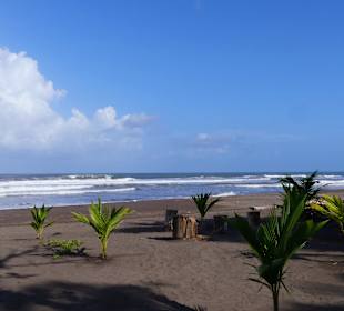 Strand Tortuguero
