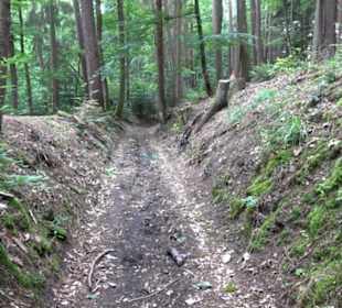 Wanderweg - Alter Steinbruch Pfaffenberg Runde