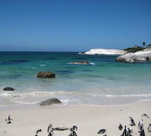 Toller Blick aufs Meer