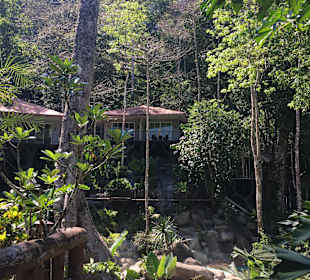 Khao Sok Nationalpark