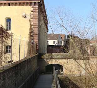 Impressionen an der Carnot´schen Mauer
