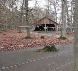 Wildpark Eichert