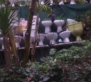 WC Garten in Side Altstadt