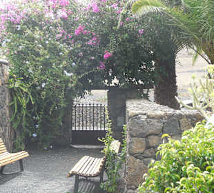 Museo Cesar Manrique