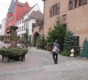 Altstadt Hagenau